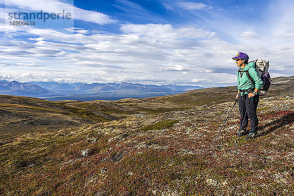 Frau genießt die Aussicht  Rucksacktour auf dem Kesugi Ridge Trail  Denali State Park  im Herbst mit der Alaska Range im Hintergrund  Süd-Zentral-Alaska; Alaska  Vereinigte Staaten von Amerika