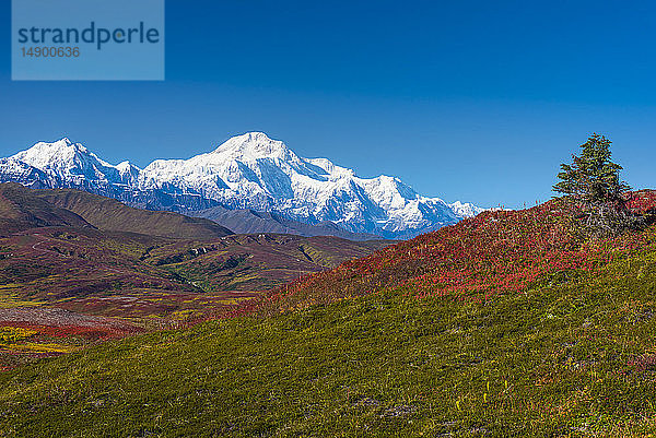 Denali National Park and Preserve von Peters Hills aus gesehen mit dem 20320' hohen Mount Denali  offiziell bekannt als Mount McKinley  und der Alaska Range; Alaska  Vereinigte Staaten von Amerika