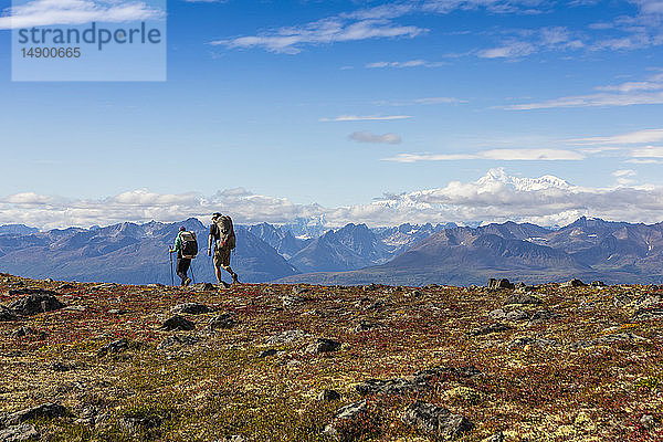 Mann und Frau beim Rucksacktourismus in der herbstlich gefärbten Tundra auf dem Kesugi Ridge Trail  Denali State Park  Süd-Zentral-Alaska; Alaska  Vereinigte Staaten von Amerika