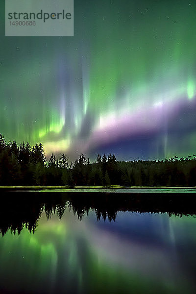 Grünes und violettes Nordlicht spiegelt sich im Wasser  Tongass National Forest  Südost-Alaska; Alaska  Vereinigte Staaten von Amerika