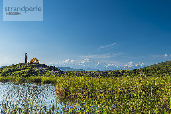 Rucksacktourist steht neben seinem Zelt in der Tundra und überblickt die Südseite des Denali und die Alaska Range  Denali State Park  Süd-Zentral-Alaska; Alaska  Vereinigte Staaten von Amerika