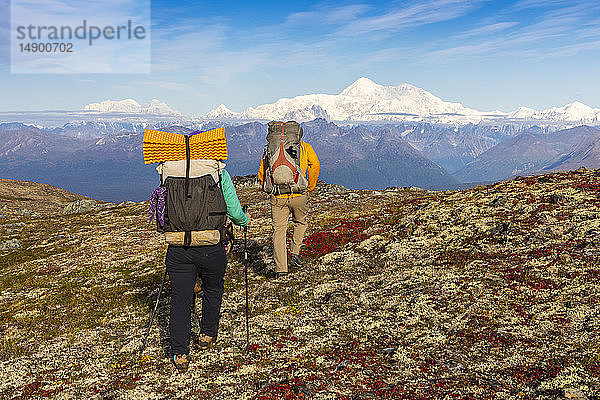 Mann und Frau wandern mit dem Rucksack durch die herbstlich gefärbte Tundra in Richtung Denali auf dem Kesugi Ridge Trail  Denali State Park  Süd-Zentral-Alaska; Alaska  Vereinigte Staaten von Amerika