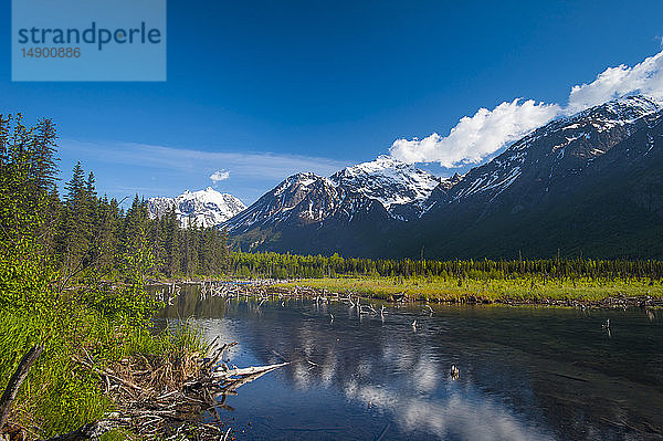 Eine Landschaft eines Bergtals in Eagle River an einem warmen Sommernachmittag in Süd-Zentral-Alaska; Alaska  Vereinigte Staaten von Amerika
