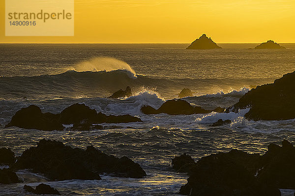 Glühende  goldene Wolken und Silhouetten von Felsformationen und der zerklüfteten Küstenlinie entlang der Südküste bei Sonnenuntergang; Wellington  Neuseeland