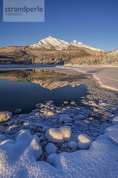 Winternachmittag entlang des Ufers des Mendenhall River  Tongass National Forest; Juneau  Alaska  Vereinigte Staaten von Amerika