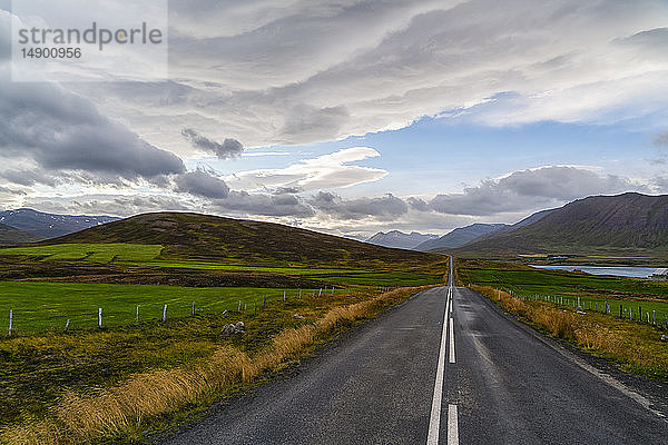 In die Ferne führende Straße auf der Halbinsel Trollaskagi  Nordisland; Island