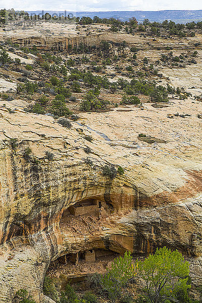 Anasazi Ruinen  Ancestral Puebloans  Bears Ears National Monument; Utah  Vereinigte Staaten von Amerika