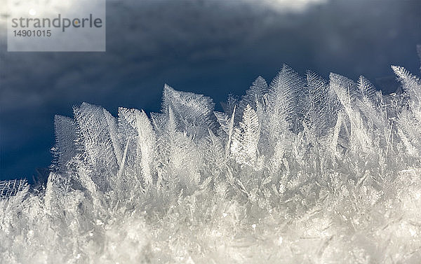 Extreme Nahaufnahme von einzigartigen Frostmustern im Schnee; Kananaskis Country  Alberta  Kanada