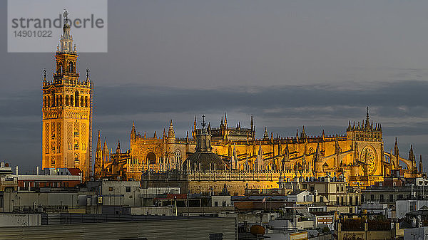 Kathedrale von Sevilla im goldenen Sonnenlicht der Abenddämmerung; Sevilla  Spanien