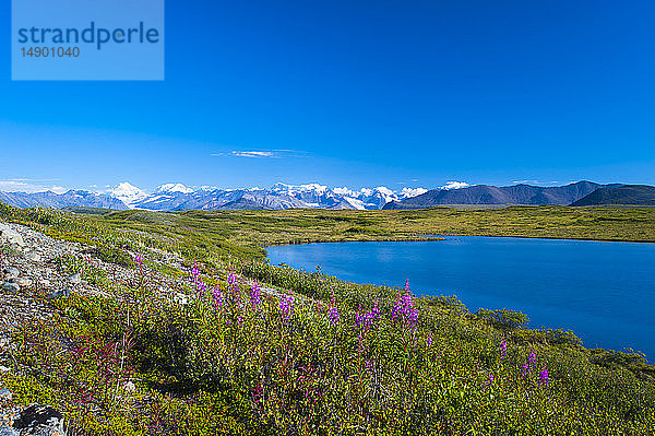 Die Alaska Range  gesehen vom McLaren Ridge Trail am Alaska Highway an einem sonnigen Sommertag in Süd-Zentral-Alaska; Alaska  Vereinigte Staaten von Amerika