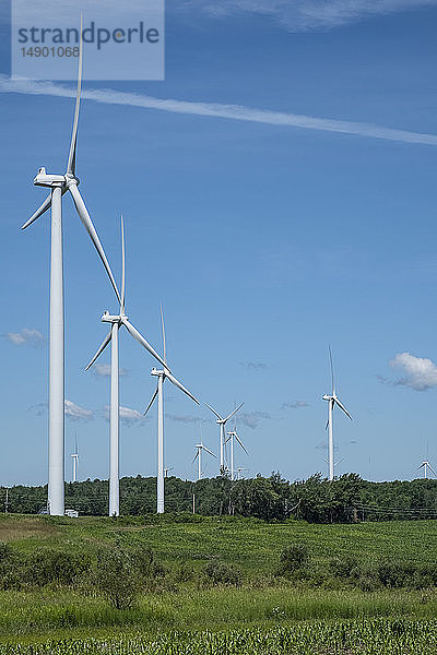 Windkraftanlage in Nord-New York; Lowville  New York  Vereinigte Staaten von Amerika