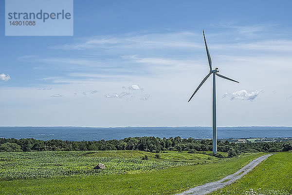 Windkraftanlage in Nord-New York; Lowville  New York  Vereinigte Staaten von Amerika