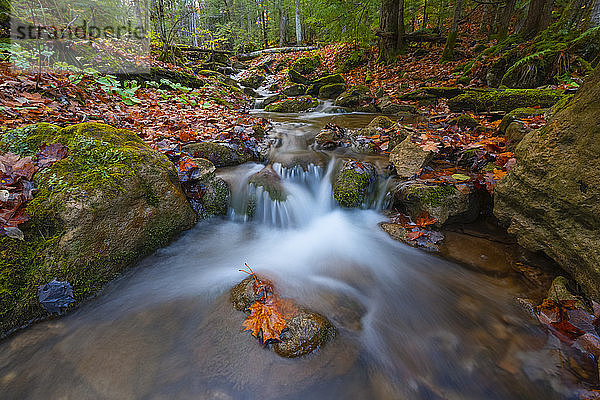 Über Felsen stürzendes Wasser in einer Herbstlandschaft  in der Nähe von Blue Mountain; Ontario  Kanada