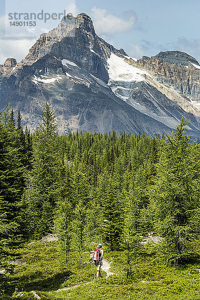 Wanderin auf einem Pfad in einer Bergwiese mit Bergen  blauem Himmel und Wolken im Hintergrund; British Columbia  Kanada