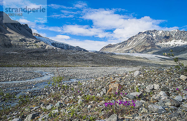 Gulkana-Gletscher in einem Tal der Alaska Range an einem sonnigen Sommernachmittag; Alaska  Vereinigte Staaten von Amerika