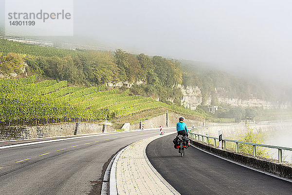Radfahrerin auf einem Flussweg mit sanften Weinbergen und Nebel im Flusstal  nördlich von Remich; Luxemburg