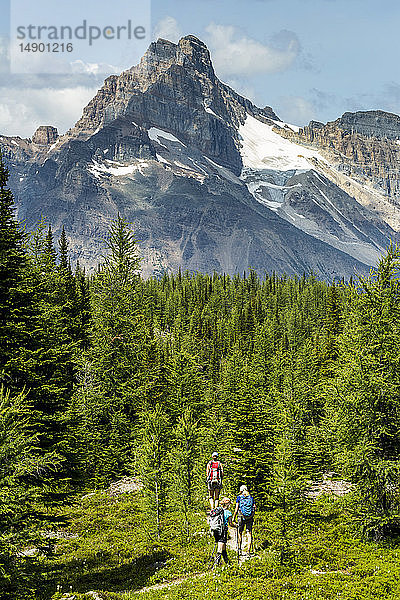 Drei weibliche Wanderer auf einem Weg in einer Bergwiese mit Bergen  blauem Himmel und Wolken im Hintergrund; British Columbia  Kanada