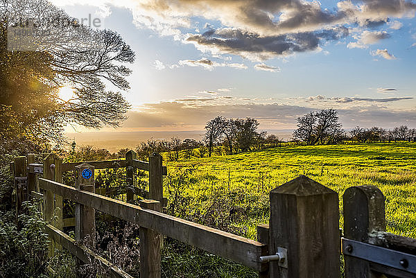 Sonnenuntergang auf dem North Downs Way  Südengland; Kent  England; Kent  England