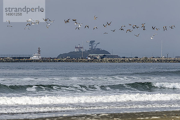 Wellen am Strand; Crescent City  Kalifornien  Vereinigte Staaten von Amerika