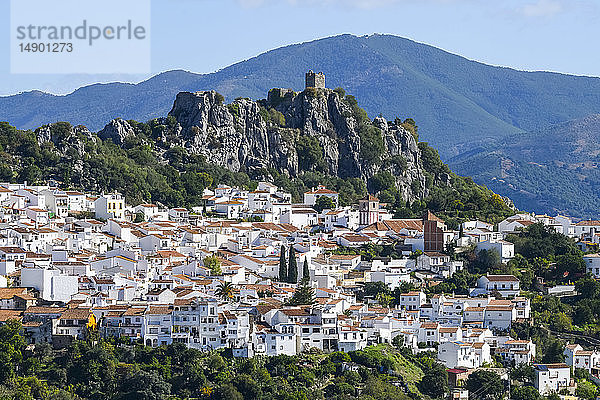 Eine kleine Stadt im Valle del Genal mit weißen Häusern; Algatocin  Malaga  Spanien