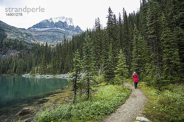 Wanderin am Oesa-See und am O'Hara-See  Yoho-Nationalpark; British Columbia  Kanada