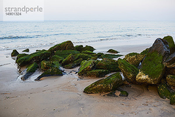 Moosbewachsene Stege am Rande des Atlantiks am Coney Island Beach; New York City  New York  Vereinigte Staaten von Amerika