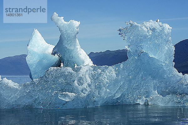 Eisberg schwimmt im Tracy Arm  Tongass National Forest; Alaska  Vereinigte Staaten von Amerika