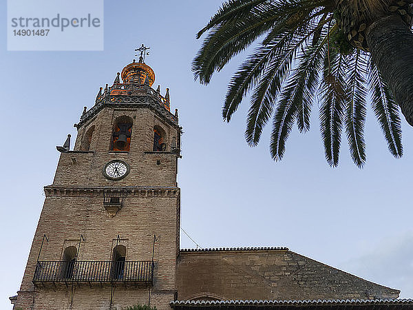 Kirchturm mit Uhr vor blauem Himmel und Palme im Vordergrund; Ronda  Malaga  Spanien