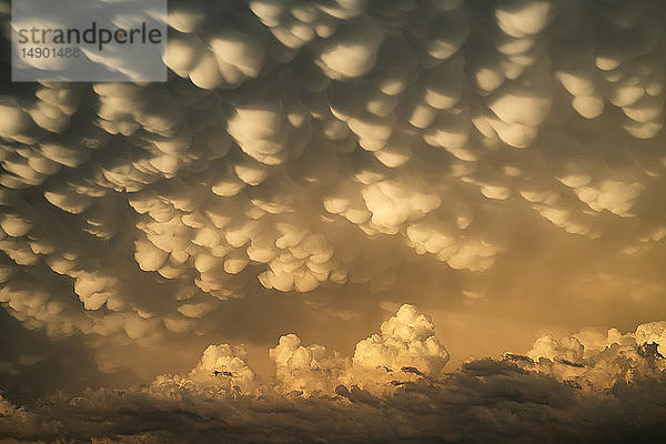 Dramatischer Himmel über der Landschaft während einer Sturmjagd im Mittleren Westen der Vereinigten Staaten. Ein Beispiel für eine Mammatus-Wolke; Kansas  Vereinigte Staaten von Amerika