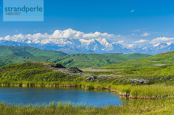 20.320' Mount Denali (früher Mount McKinley) an einem sonnigen Sommertag  gesehen von Peters Hills im Denali State Park in Süd-Zentral-Alaska; Alaska  Vereinigte Staaten von Amerika