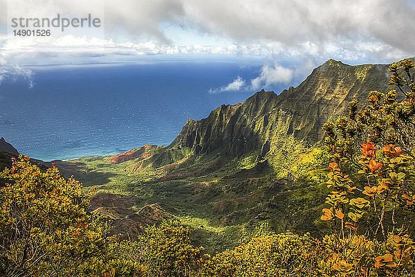 Dramatische Berglandschaft und buntes Laub auf einer hawaiianischen Insel mit Blick auf den Pazifischen Ozean; Kauai  Hawaii  Vereinigte Staaten von Amerika