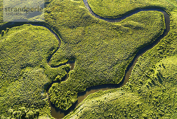 Luftaufnahme mit Blick auf einen gewundenen Bach in einer grünen Wiese  in der Nähe von Millerville; Alberta  Kanada
