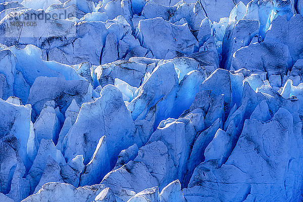 Blaues Gletschereis liegt in Gletscherspalten auf dem Hole in the Wall Glacier  Juneau Icefield  Tongass National Forest; Alaska  Vereinigte Staaten von Amerika
