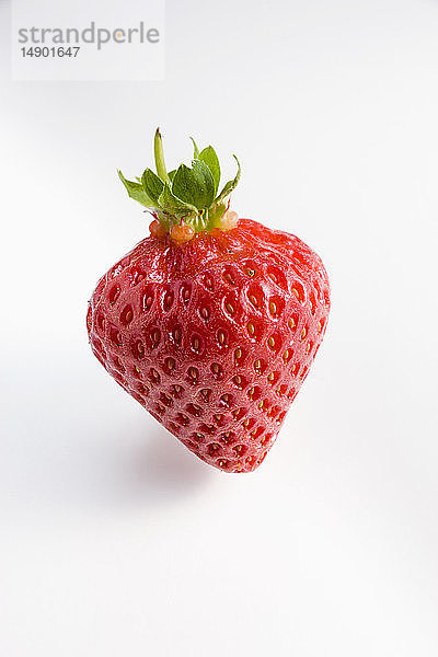Frische  reife Erdbeere auf einem weißen Hintergrund