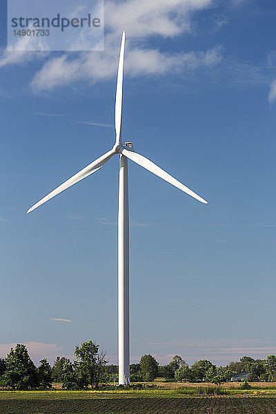 Große Metallwindmühle in einem Farmfeld mit blauem Himmel und Wolken  westlich von Port Colborne; Ontario  Kanada