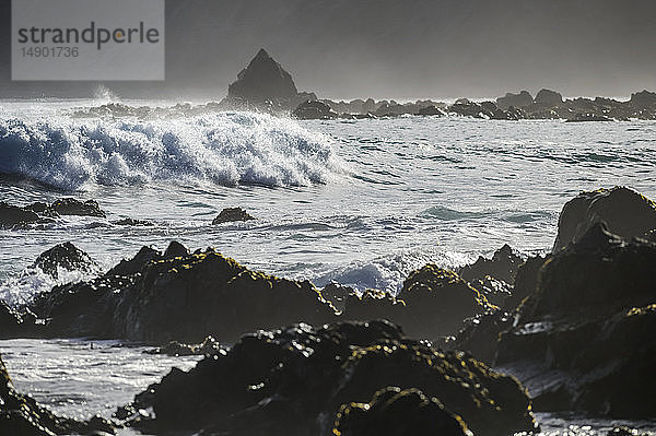 Plätschernde Wellen in Ufernähe und schroffe Felsen an der Südküste; Wellington  Neuseeland