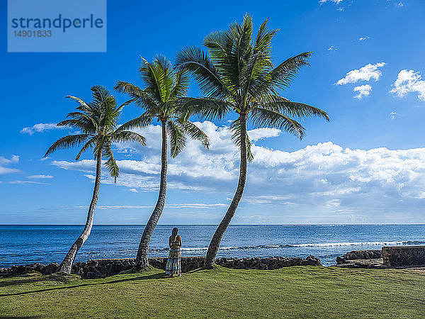 Frau steht unter Palmen entlang der Küste; Oahu  Hawaii  Vereinigte Staaten von Amerika