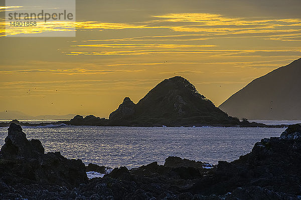 Glühende  goldene Wolken und Silhouetten von Felsformationen und der zerklüfteten Küstenlinie entlang der Südküste bei Sonnenuntergang; Wellington  Neuseeland