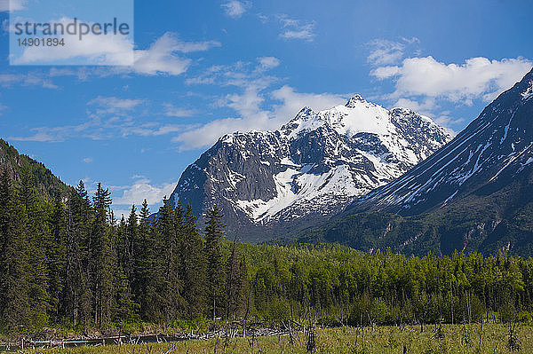 Eine Landschaft eines Bergtals in Eagle River an einem warmen Sommernachmittag in Süd-Zentral-Alaska; Alaska  Vereinigte Staaten von Amerika