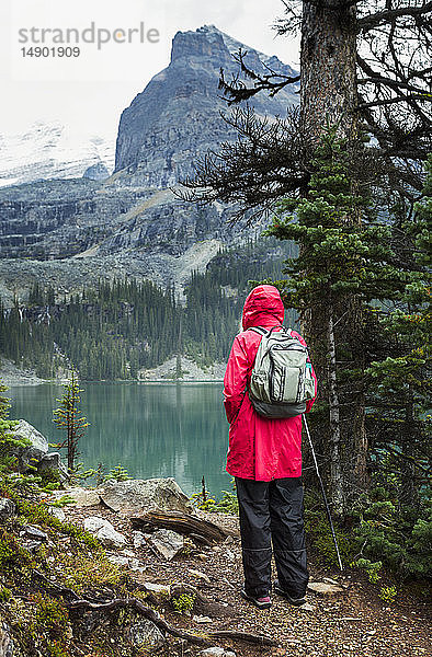 Wanderin am Oesa-See  Yoho-Nationalpark; British Columbia  Kanada