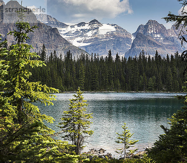 Von Bäumen eingerahmter Alpensee mit Bergkette im Hintergrund; British Columbia  Kanada