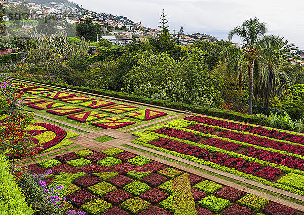 Formale Blumenbeete in den Botanischen Gärten von Madeira; Funchal  Madeira  Portugal