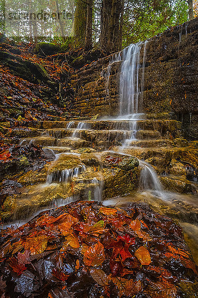 Wasser  das im Herbst über eine Felsklippe in einen Bach stürzt; Ontario  Kanada