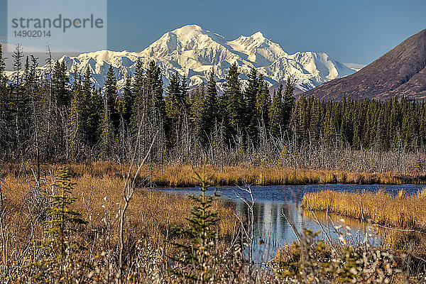 Blick auf den Denali vom Randstreifen des Parks Highway  südlich von Cantwell im Inneren Alaskas; Alaska  Vereinigte Staaten von Amerika