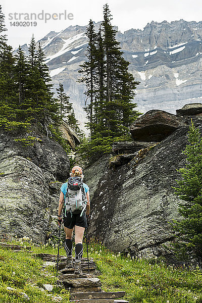 Wanderin beim Überwinden einer Felsentreppe auf einer Bergwiese mit felsigen Klippen und Bergen im Hintergrund; British Columbia  Kanada