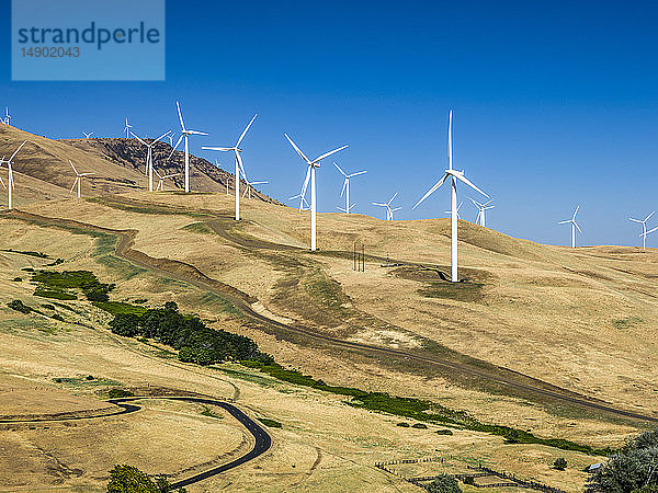 Windkraftanlagen in einer hügeligen Landschaft in einem Windpark; Washington  Vereinigte Staaten von Amerika