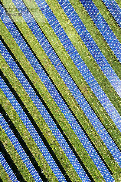 Luftaufnahme eines Solarparks mit Sonnenreflexion auf den Paneelen  westlich von Dunville; Ontario  Kanada