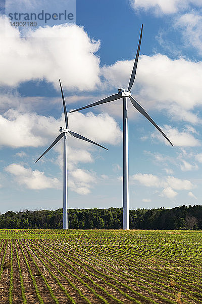 Zwei große Metallwindmühlen in einem Sojabohnenfeld mit blauem Himmel und Wolken  westlich von Port Colborne; Ontario  Kanada
