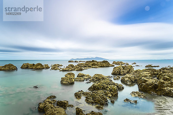 Felsen im Meer entlang der Küstenlinie in der Pukerua Bay  Kapiti Island; Wellington  Neuseeland