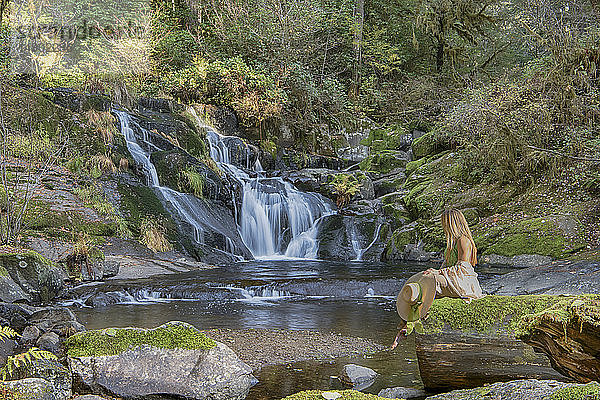 Beaver Creek Falls  wo der Sweet Creek in den Beaver Creek mündet; Mapleton  Oregon  Vereinigte Staaten von Amerika